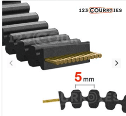 10 Courroie double dentée 720-D5M15